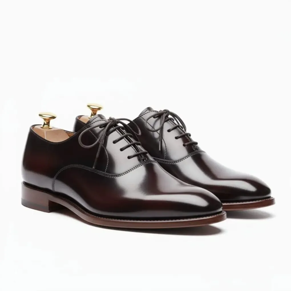 Regal Espresso Oxford – Wholecut Polished Leather Dress Shoe (US 6 / EU 38 / UK 5)